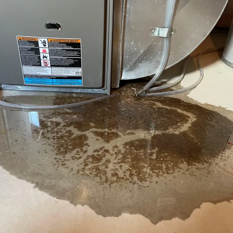 Appliance Leak Cleanup in Northfield, MN